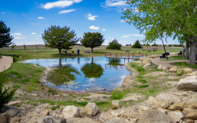 Cedar Bluff State Park, Reservoir, & Wildlife Area